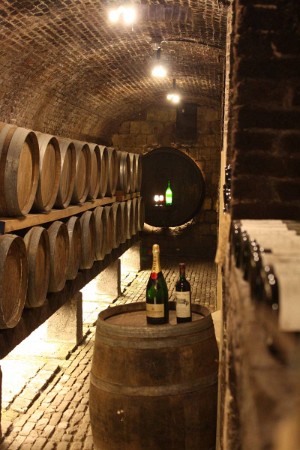 IMG_3625_(1600_x_1200)